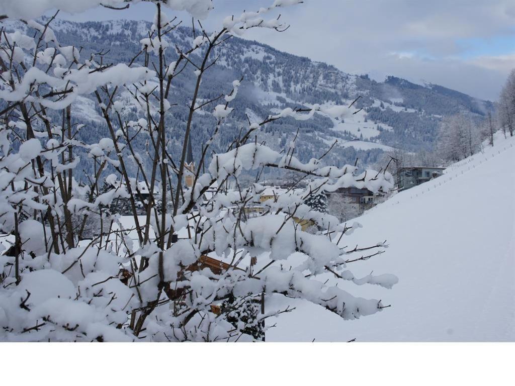 Feldinggut Villa Bad Hofgastein Buitenkant foto